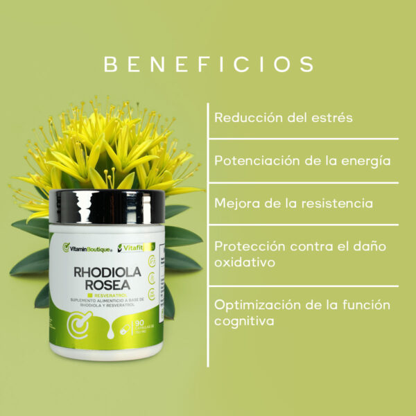 RHODIOLA ROSEA - Image 5