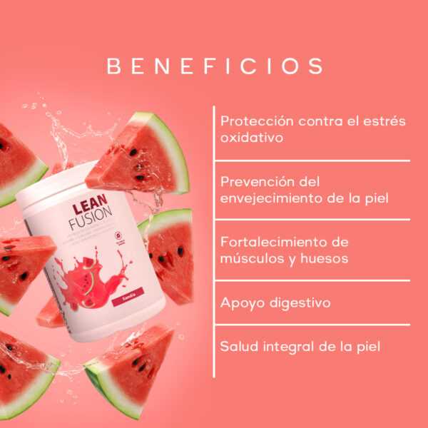 LEAN FUSION SANDIA - Image 6